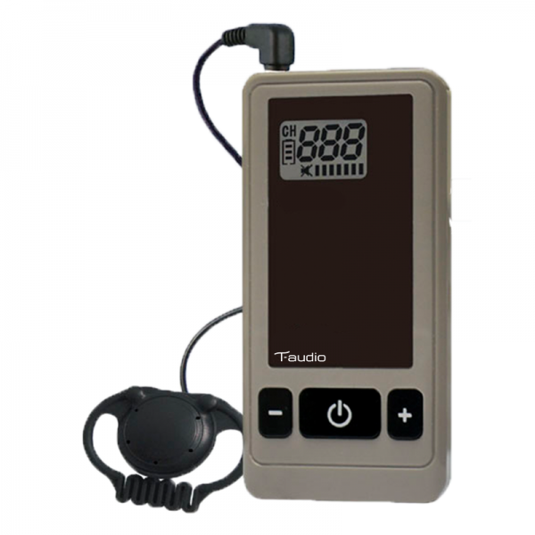 T-audio LX200R